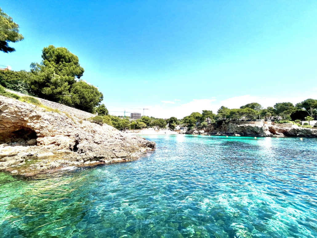 Schnorcheln in der Badebucht Cala Portals Nous, Mallorca